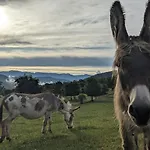 Deep Creek Farmstay