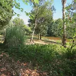 The Rocks - Olive Retreat