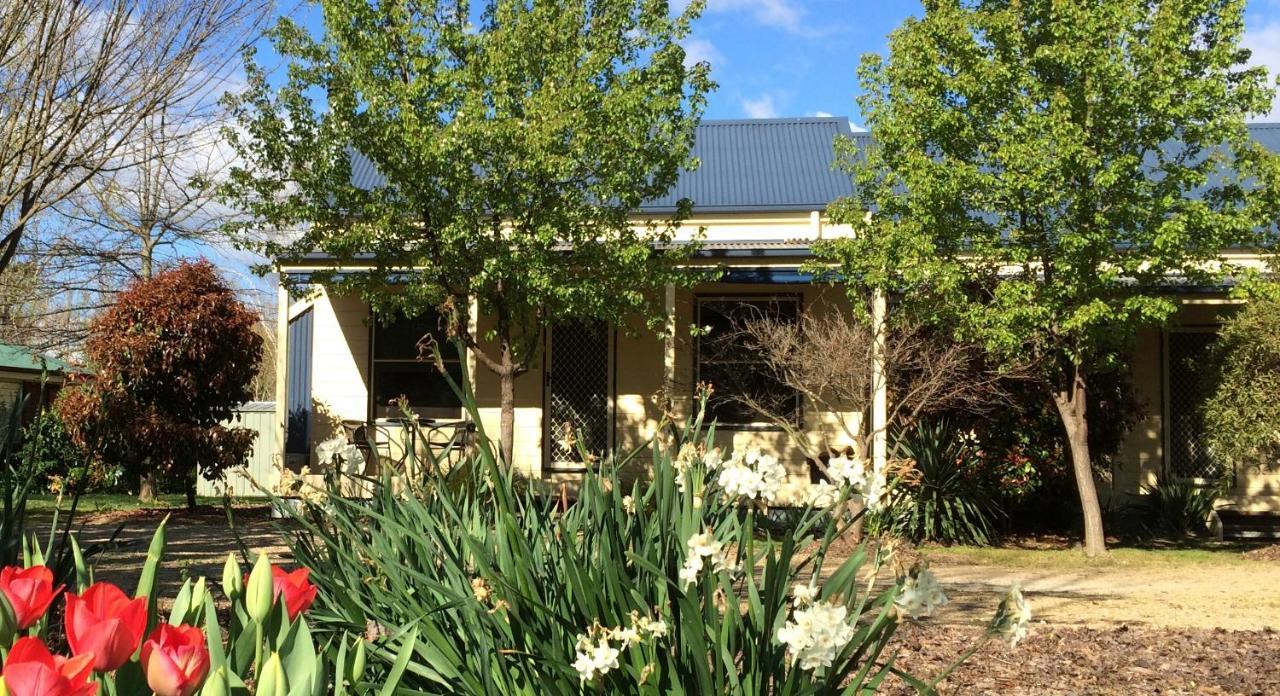 Holiday home Avc - Birch