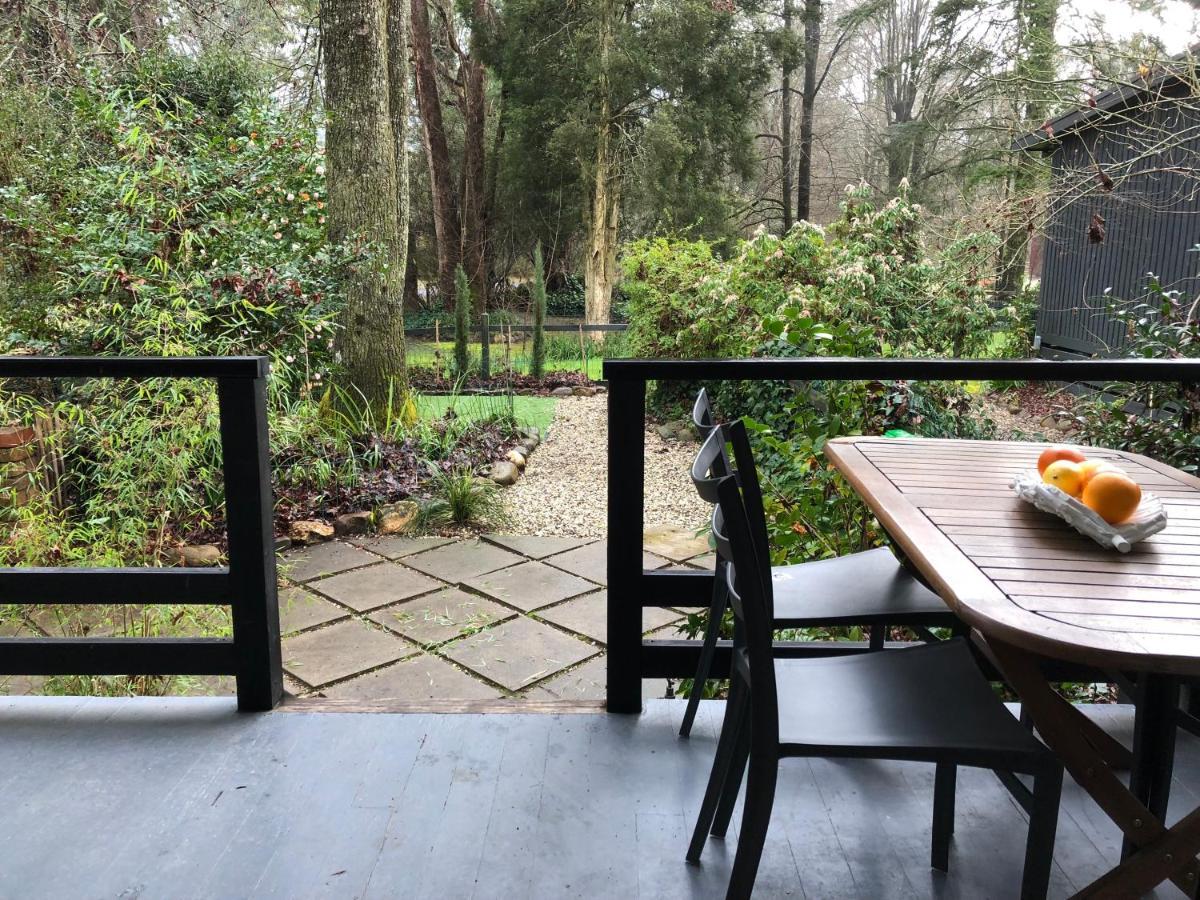 Tyntynder Garden 2