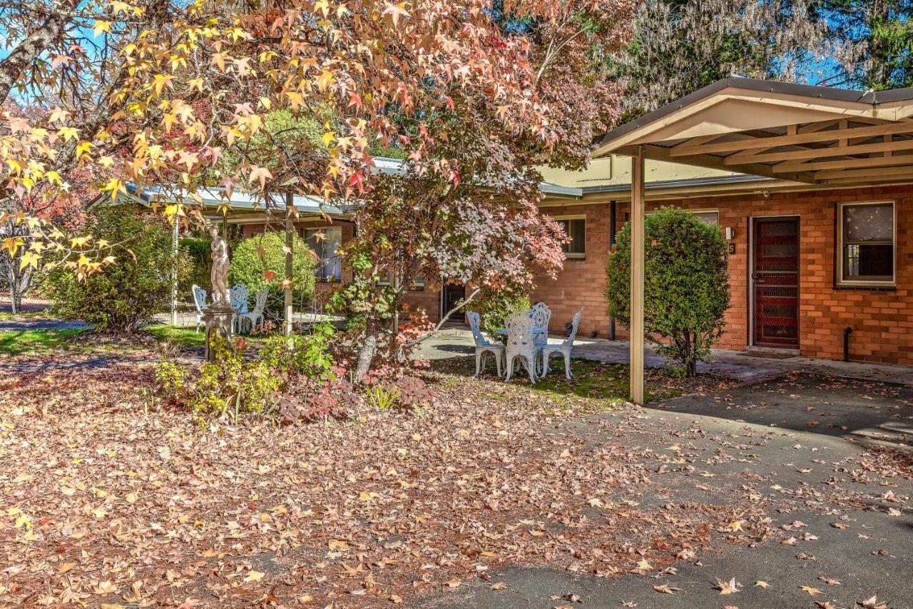 Motel Viewhill Units - Bright