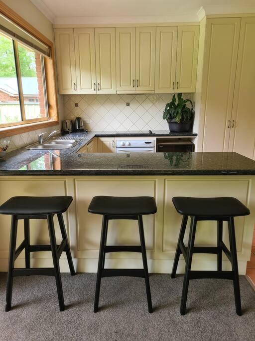 Delany - Luxury On Delany Avenue *