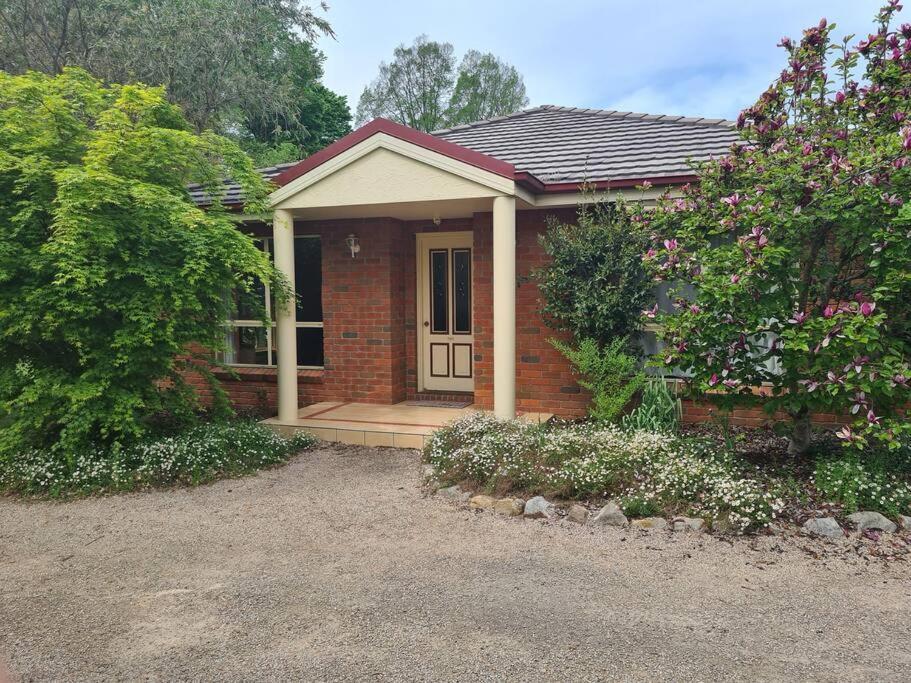 Delany - Luxury On Delany Avenue