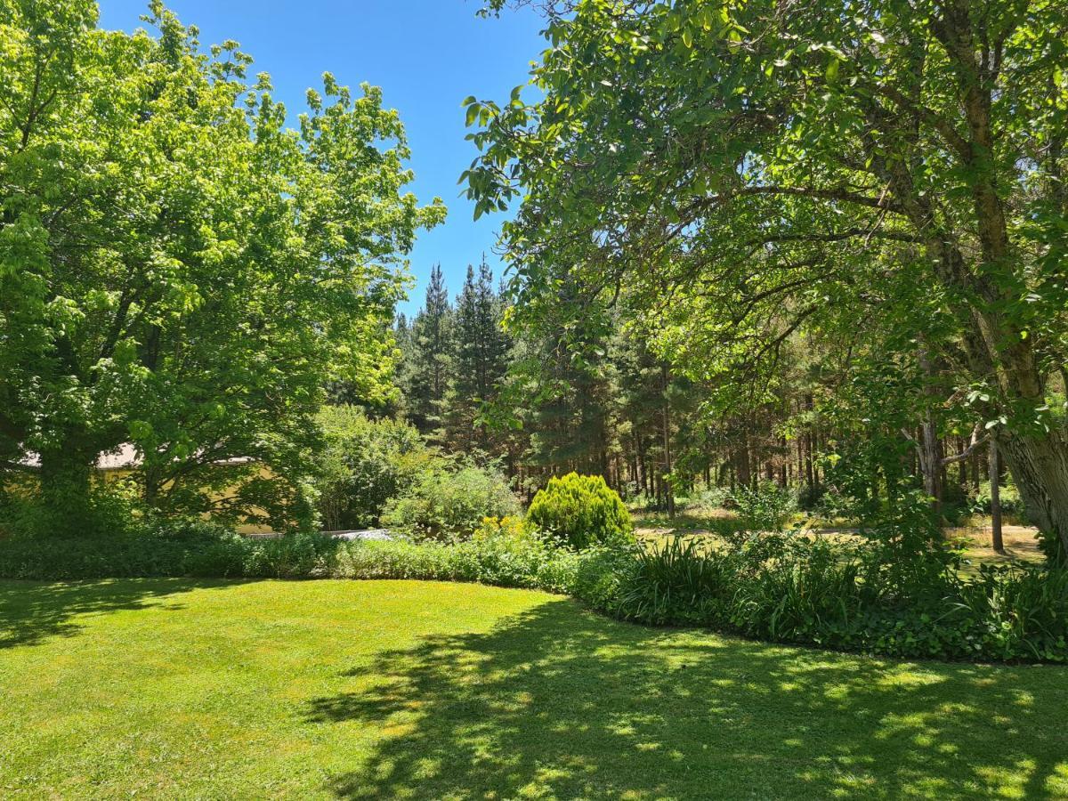 Delany - Luxury On Delany Avenue