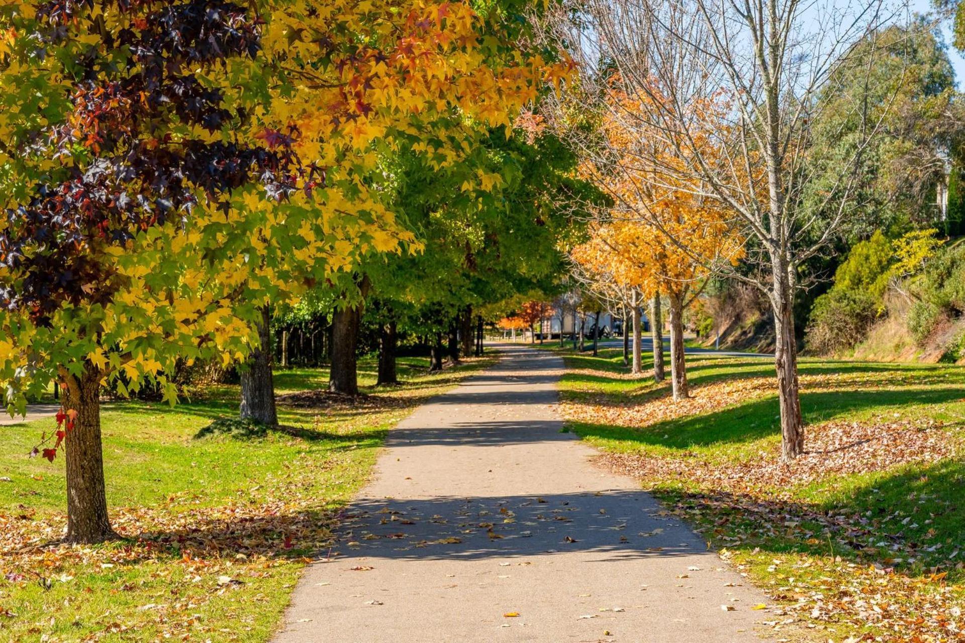 Autumn Beauty - Country 7 Holiday home *