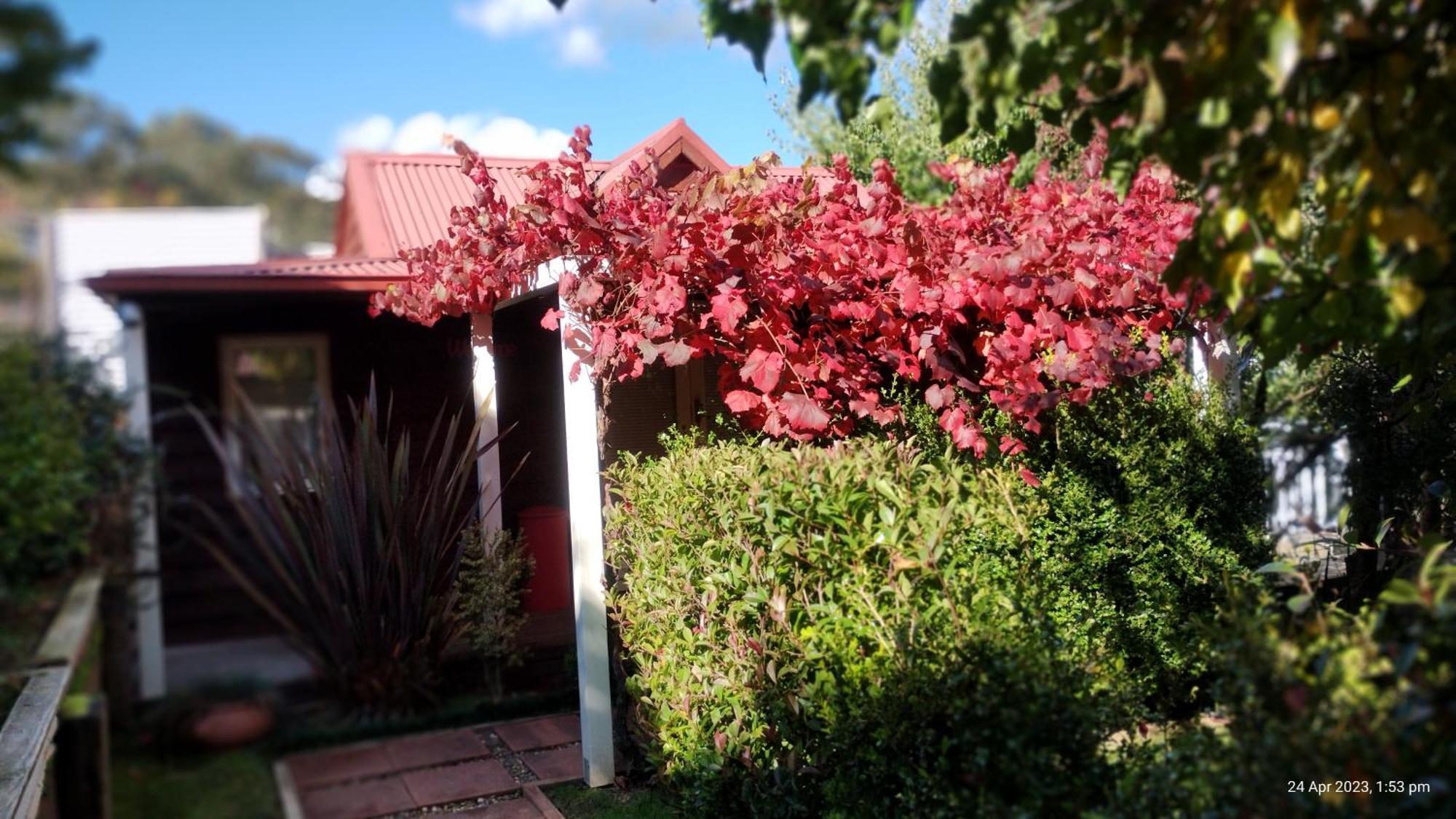 Bella Rouge Villa *