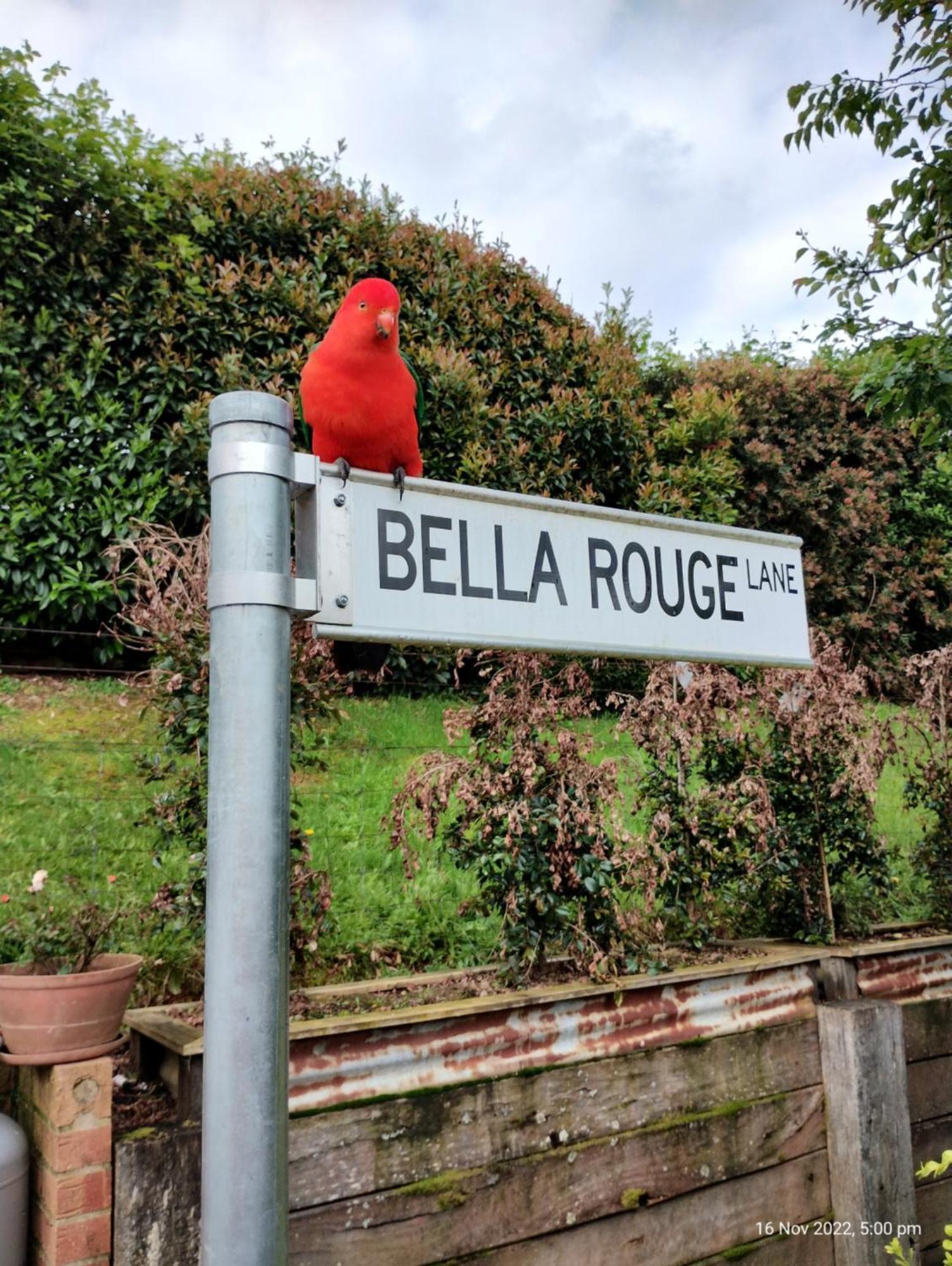 Bella Rouge Villa