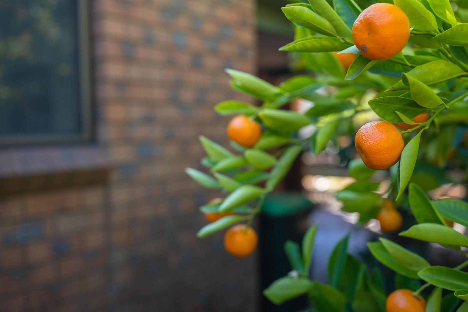 Holiday home Warrina - Overlooks Ovens River And Five Minute Walk Into Town *