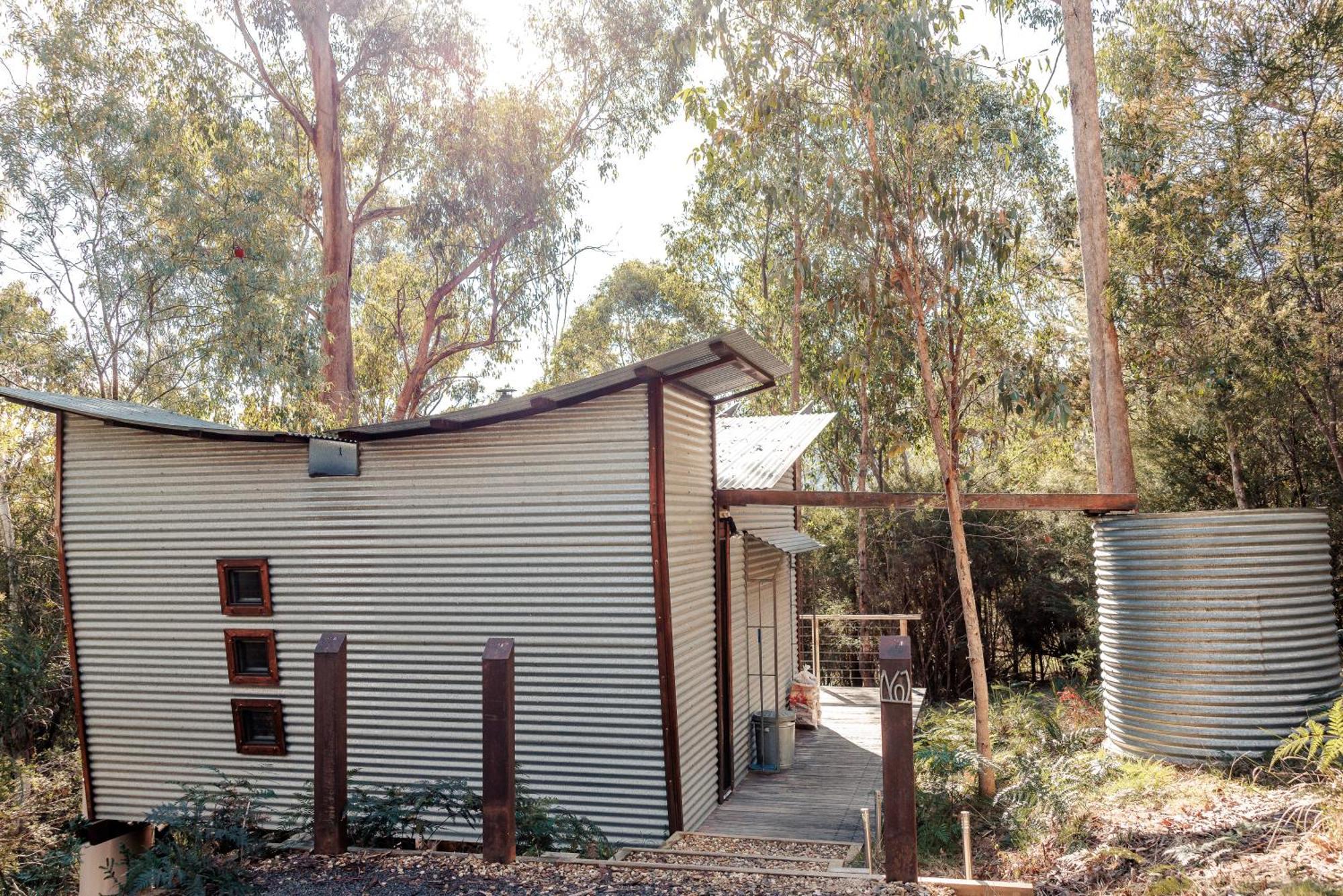 The Odd Frog Lodge *