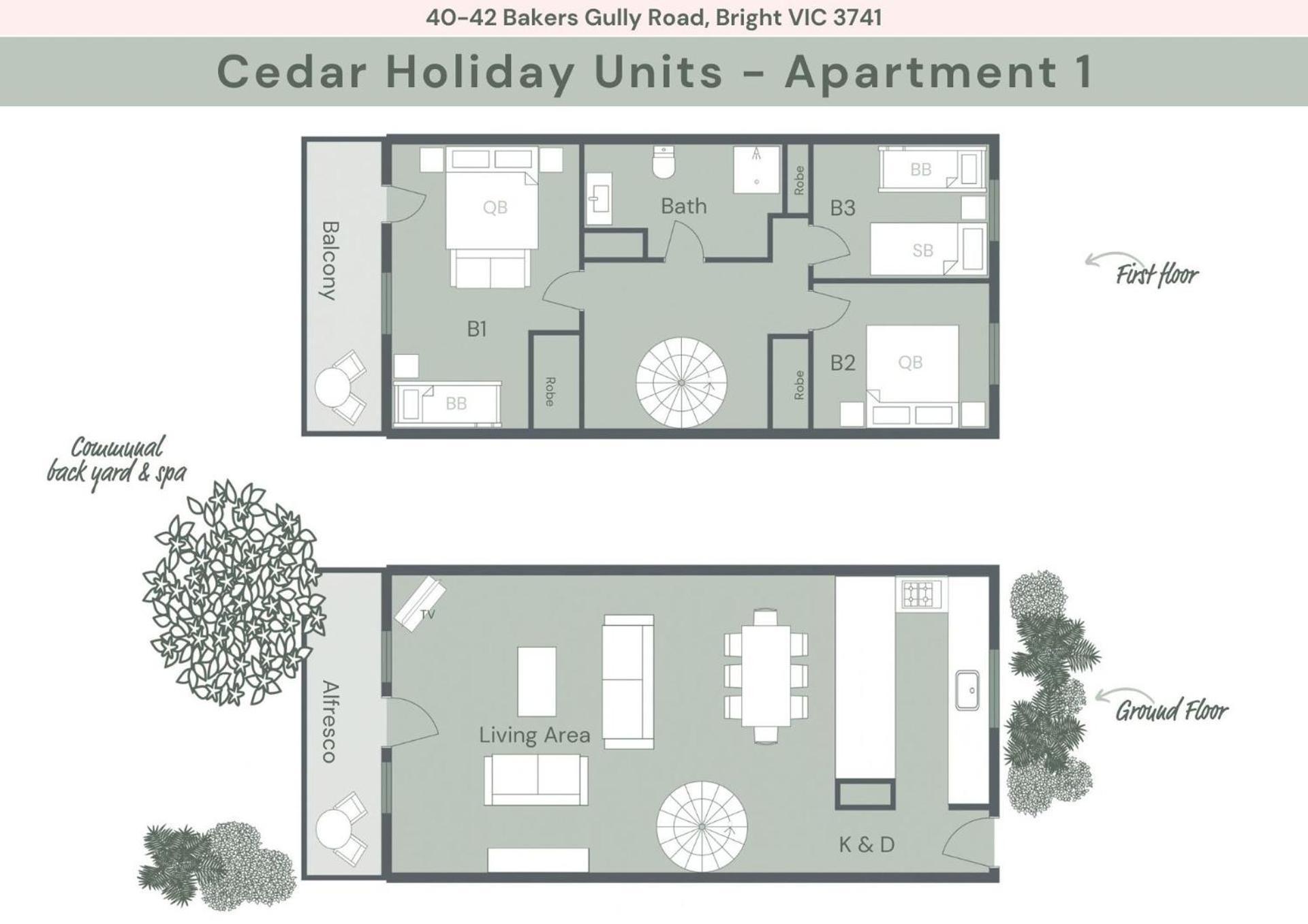 Cedar Units - 1 * Bright