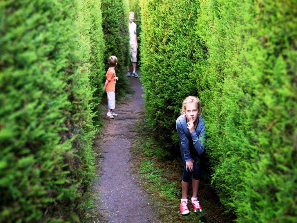 Holiday park Discovery Parks - Bright Freeburgh