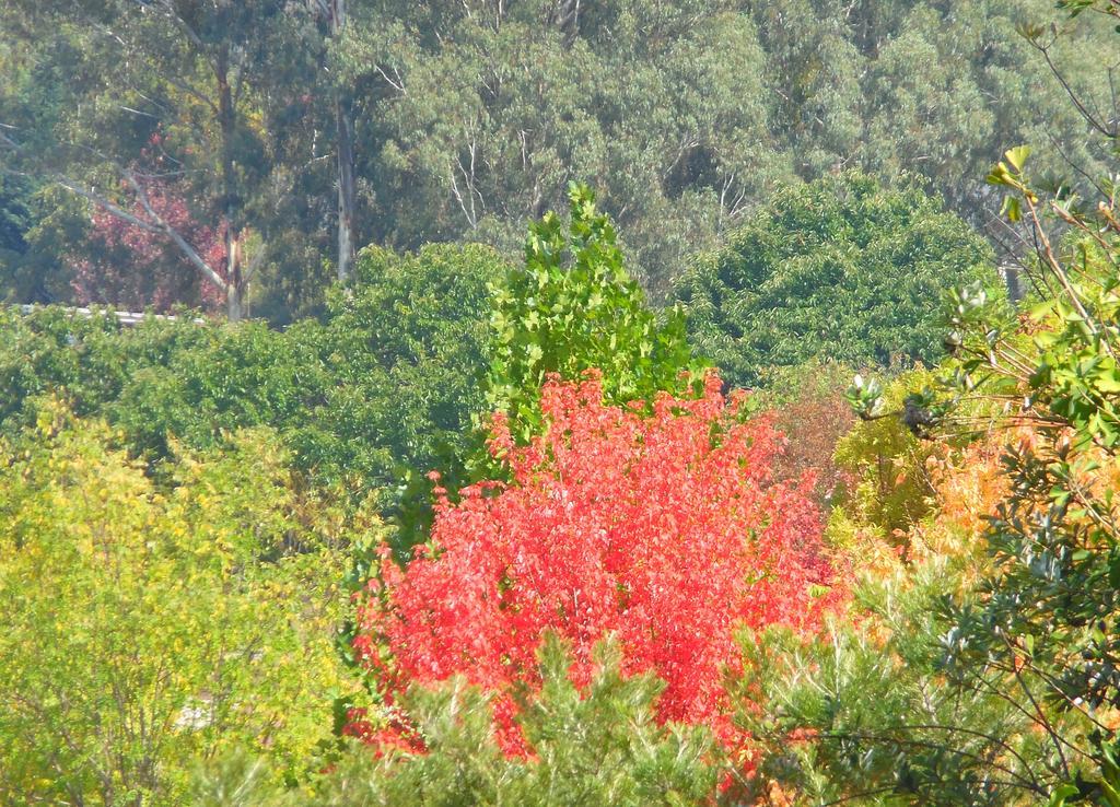Holiday home Highland Valley Bright