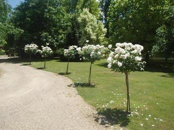 The Birch House - Silver Birches Holiday park
