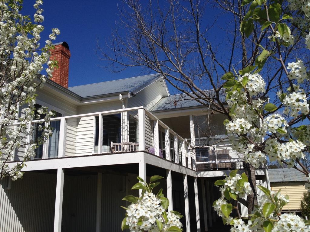 The Dacha