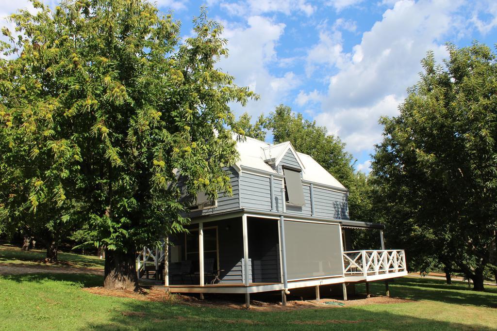 Lodge Abbys