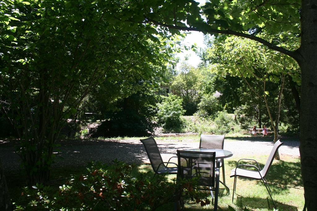 Lodge Elm