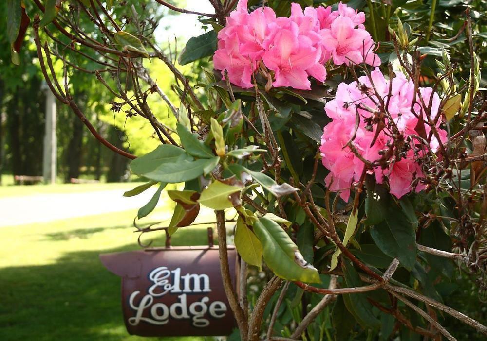 Elm Lodge *