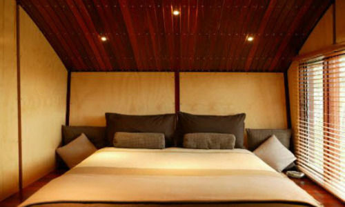 The Odd Frog Hotel *