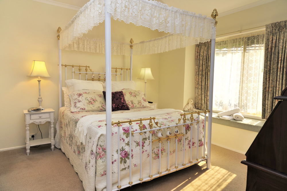 The Birch House - Silver Birches Bright