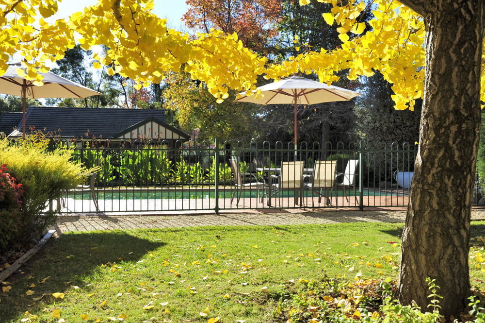 The Birch House - Silver Birches 3*