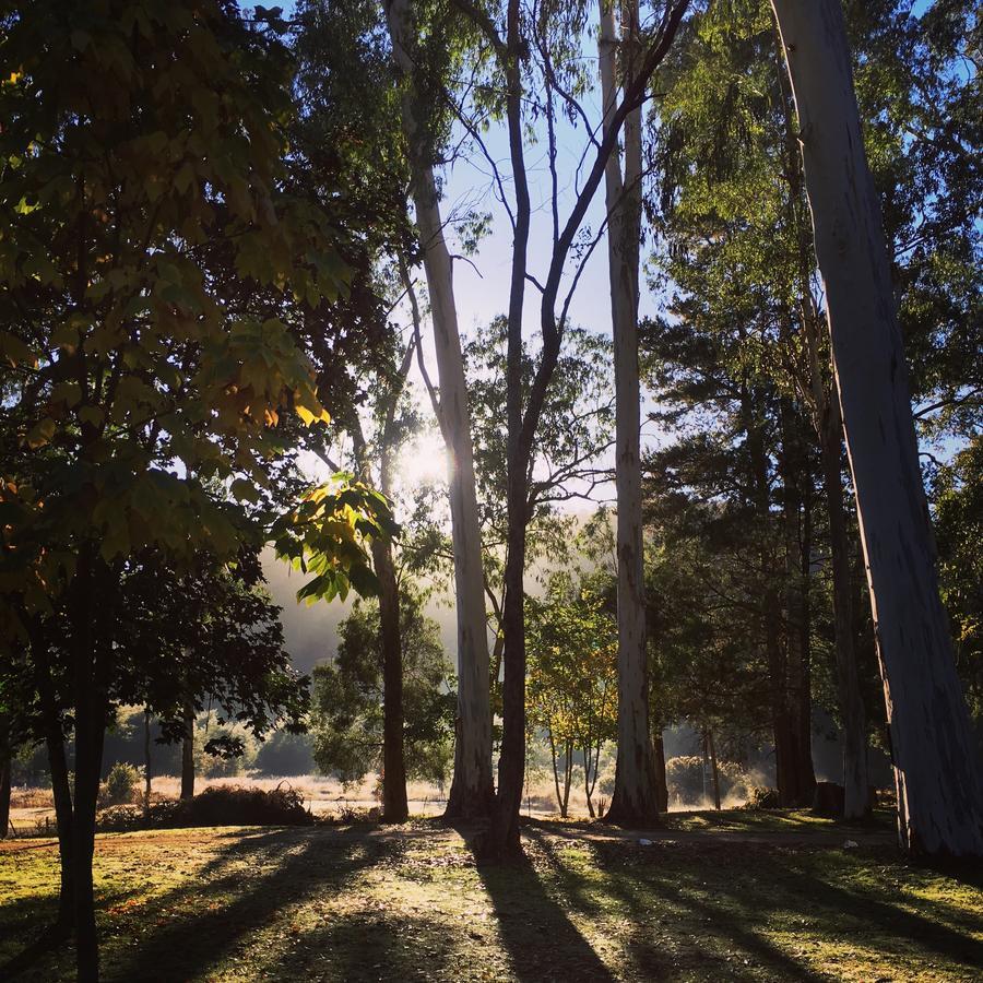 Park 3* Bright