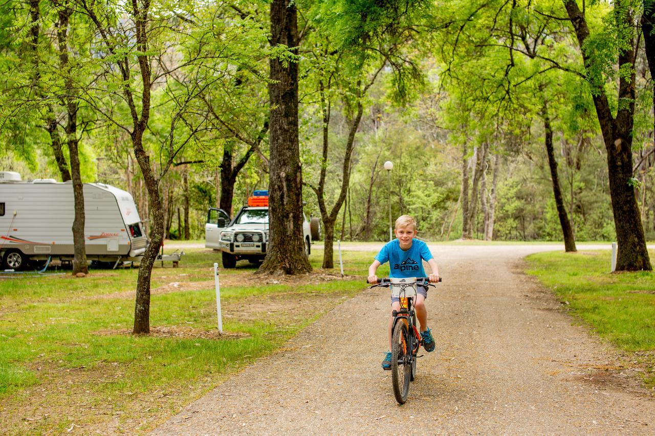 Holiday park Discovery Parks - Bright 4*
