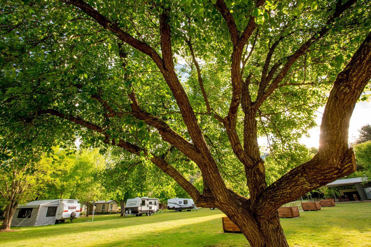 Discovery Parks - Bright Holiday park Freeburgh