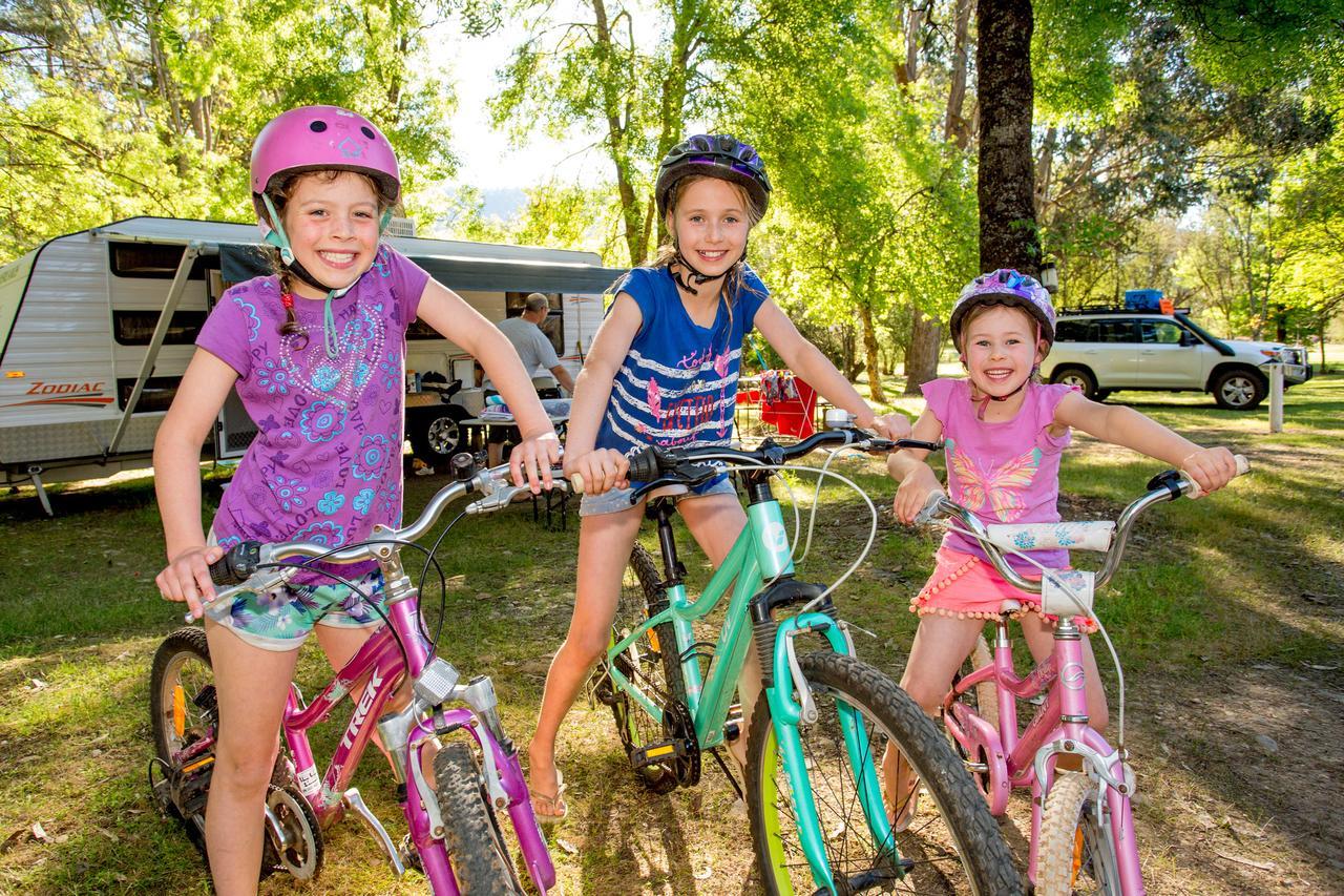 Holiday park Discovery Parks - Bright Freeburgh