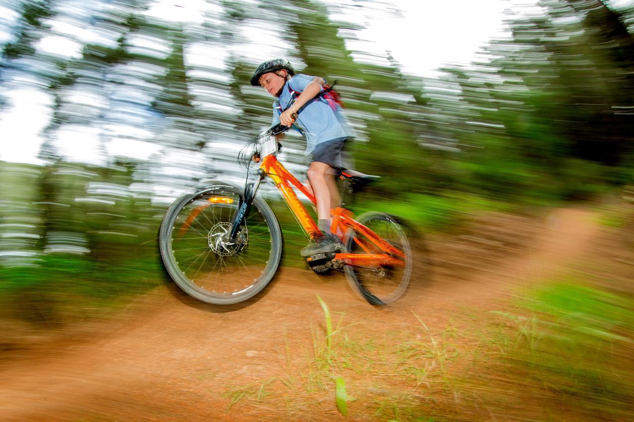 Discovery Parks - Bright Holiday park Freeburgh