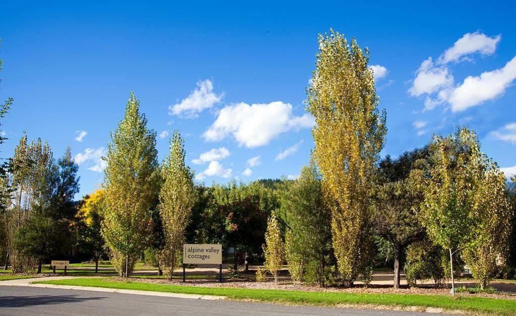 Alpine Valley Bright