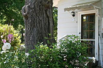 Elm Lodge *