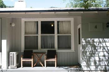 Lodge Elm *
