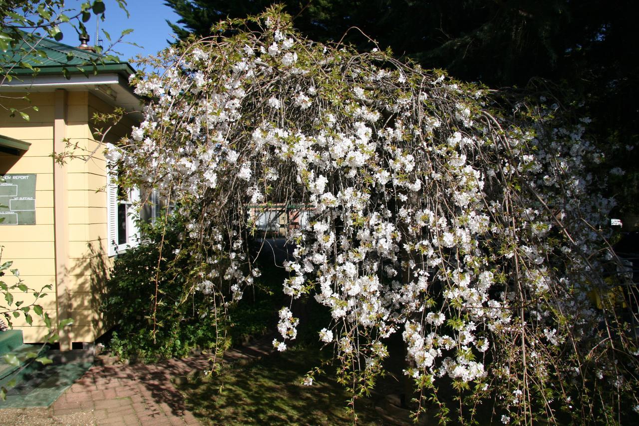 Holiday home Carawatha Gardens Bright