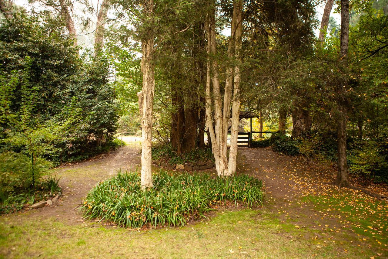 Holiday home Tyntynder Garden 3 *