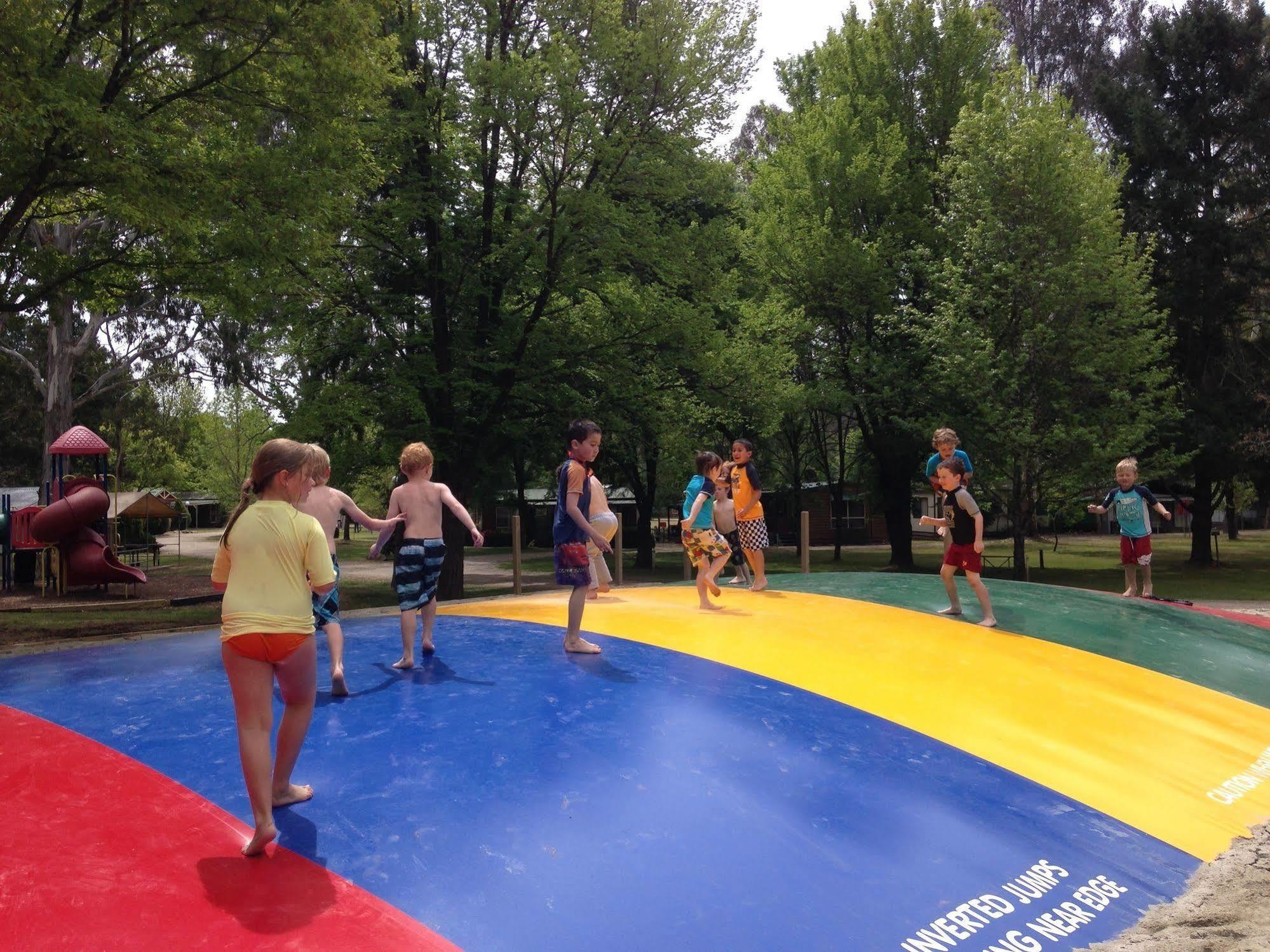 Holiday park Discovery Parks - Bright
