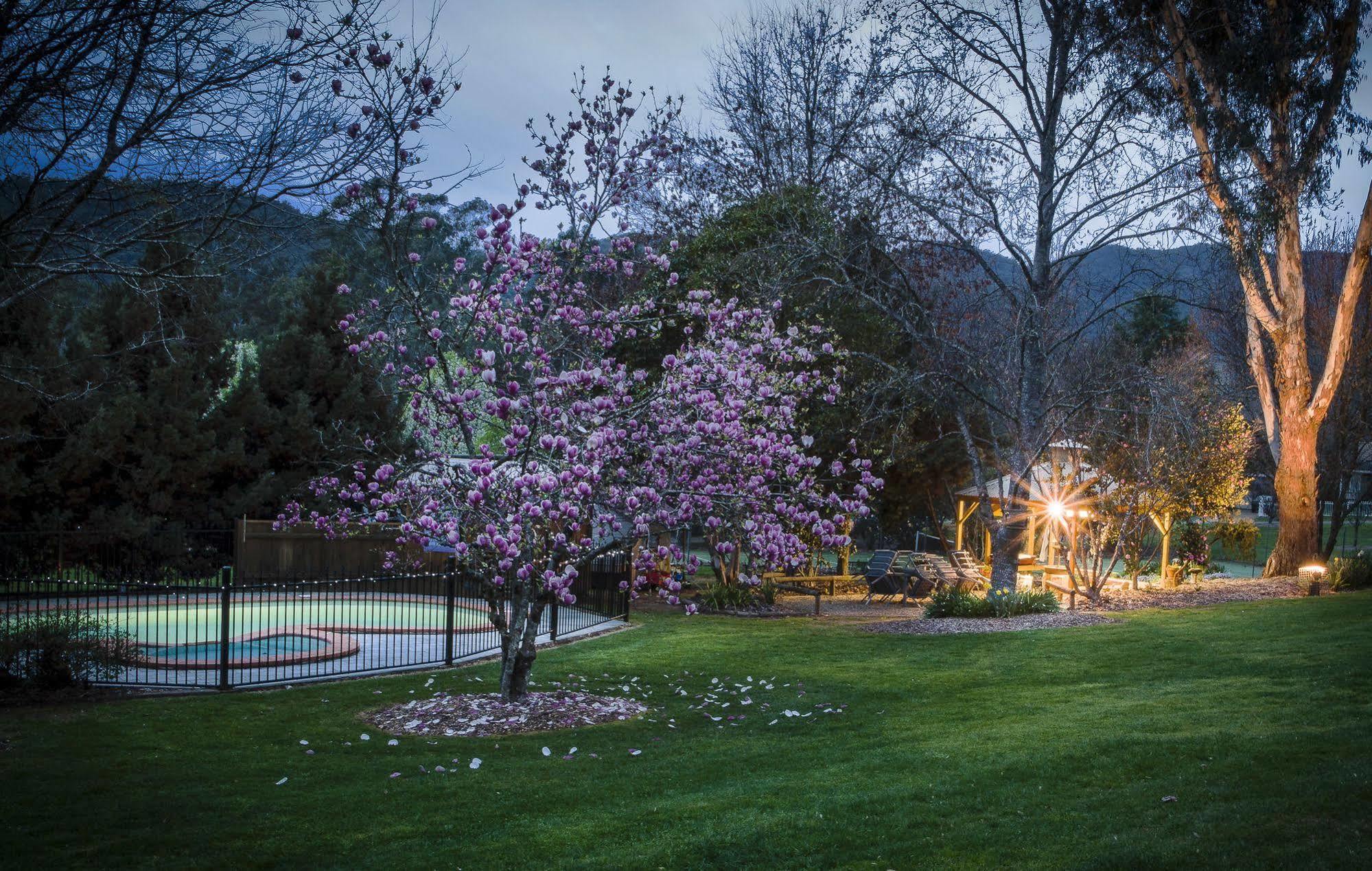 Aparthotel Mystic Valley Bright