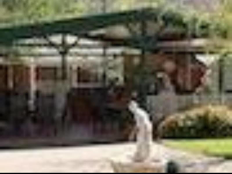 The Birch House - Silver Birches Holiday park