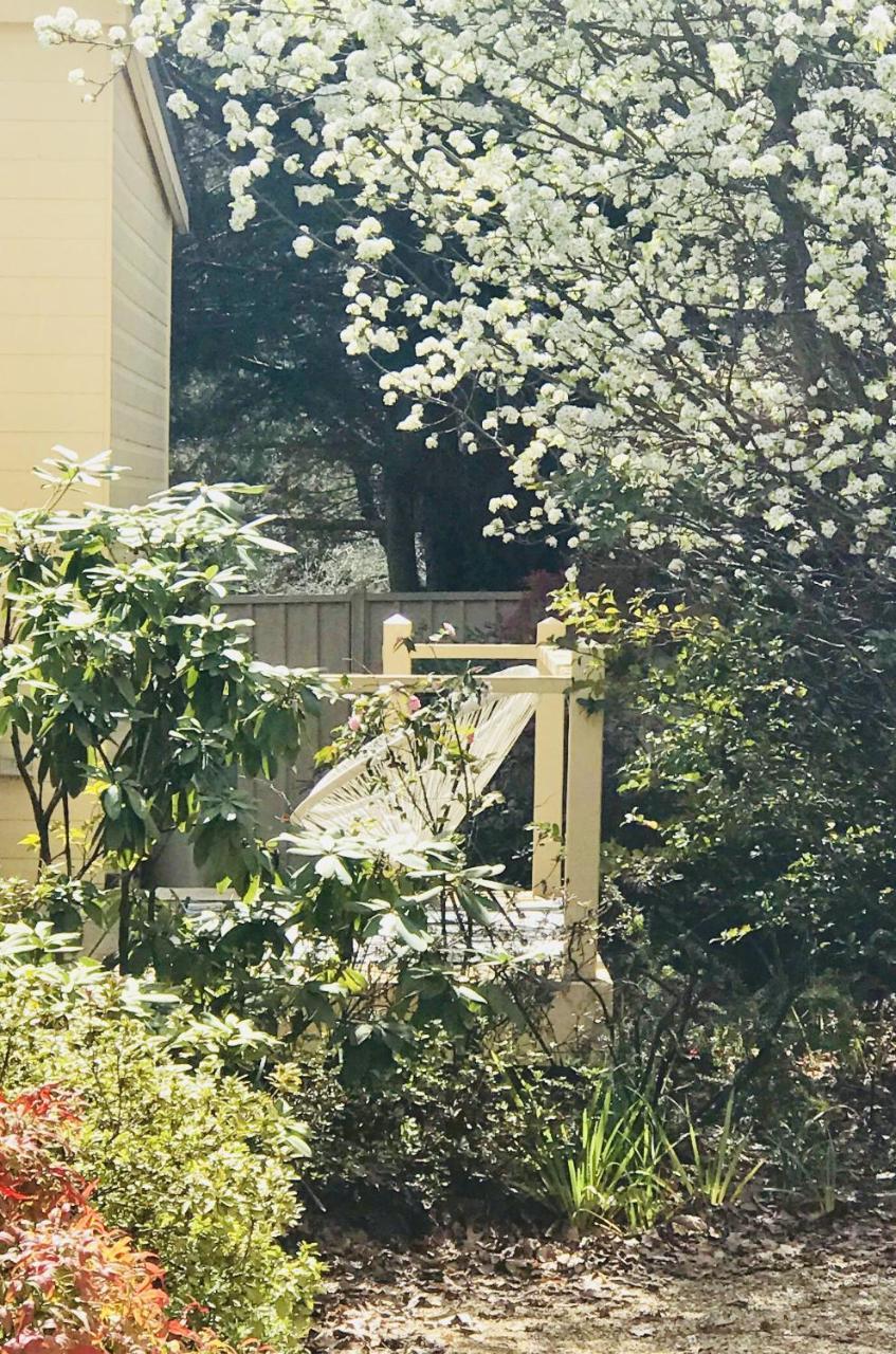 Apartment Autumn Beauty - 4 Bright