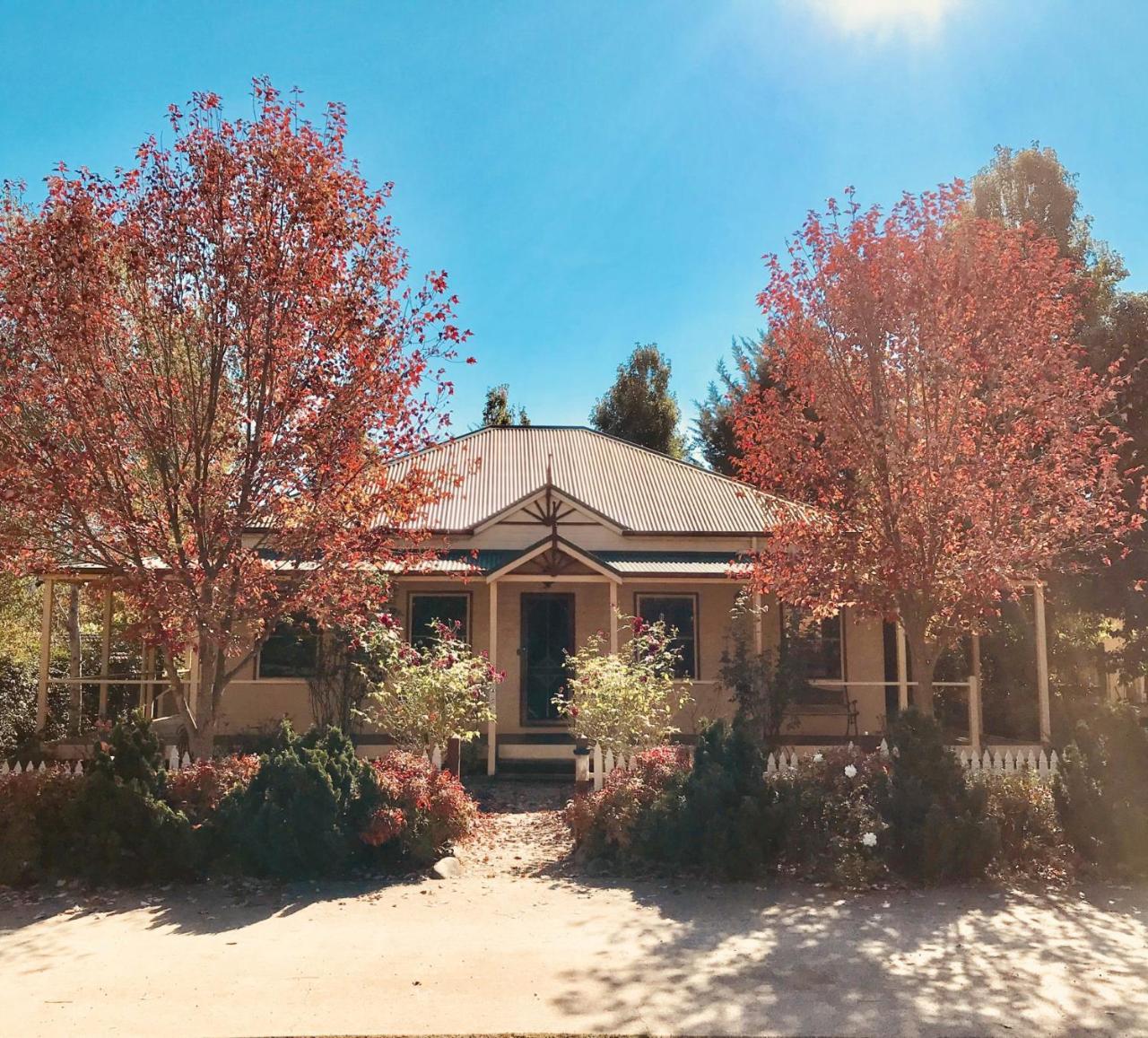 Autumn Beauty - 4 * Bright