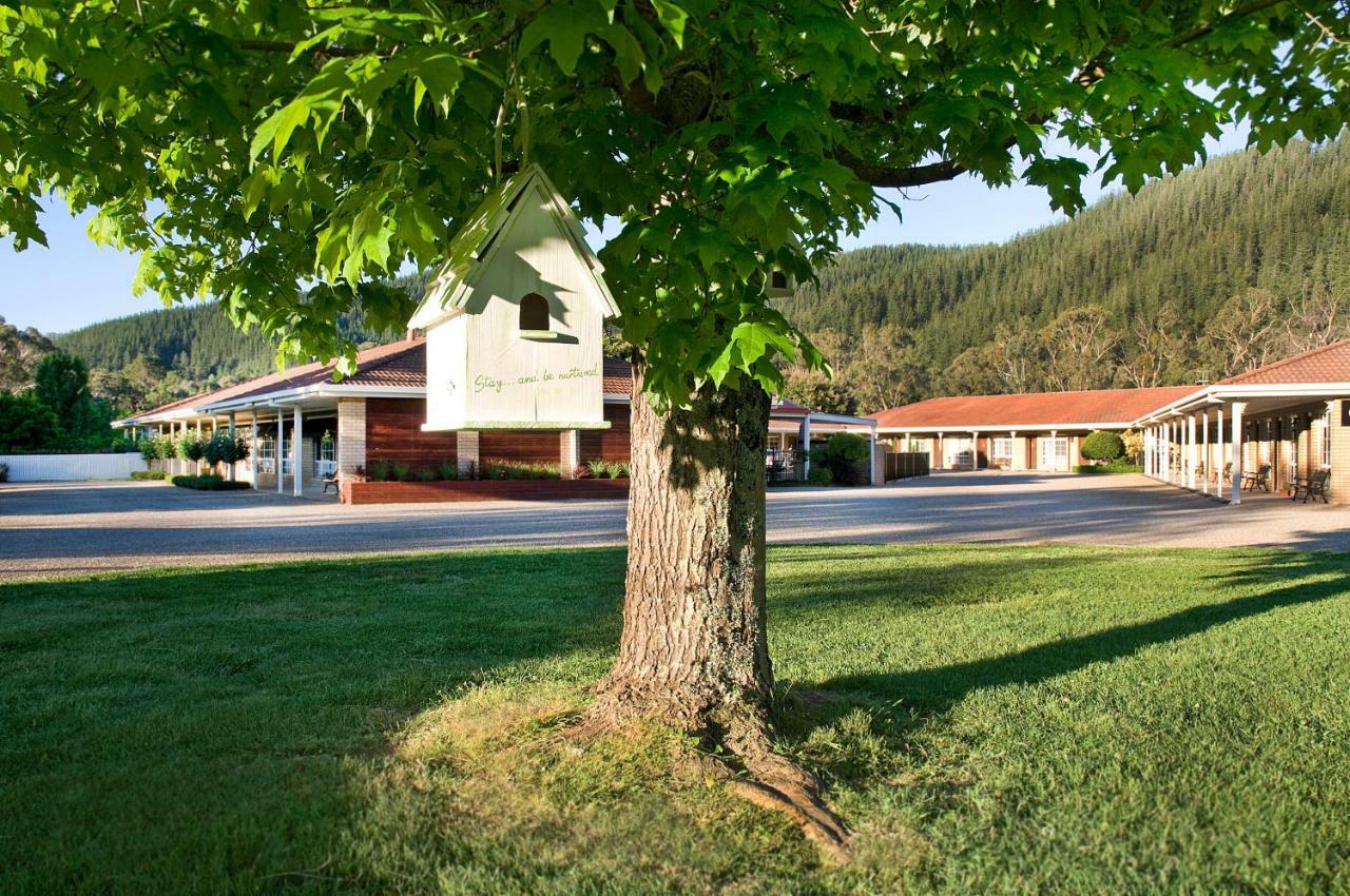Ovens Valley Motor Bright