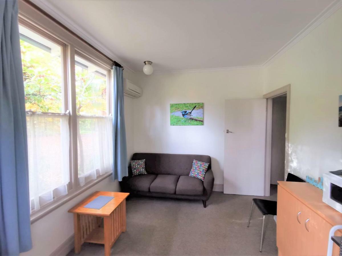 Lodge Elm *
