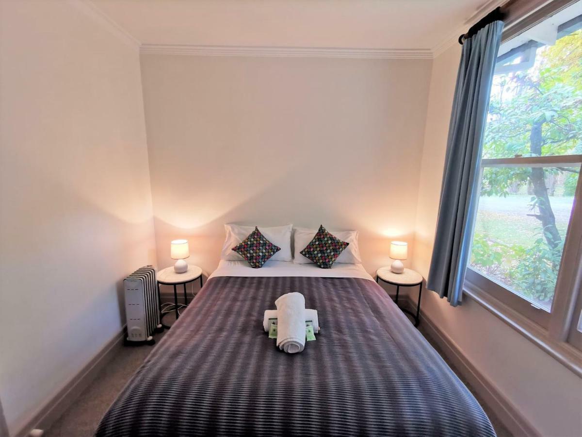Lodge Elm Bright