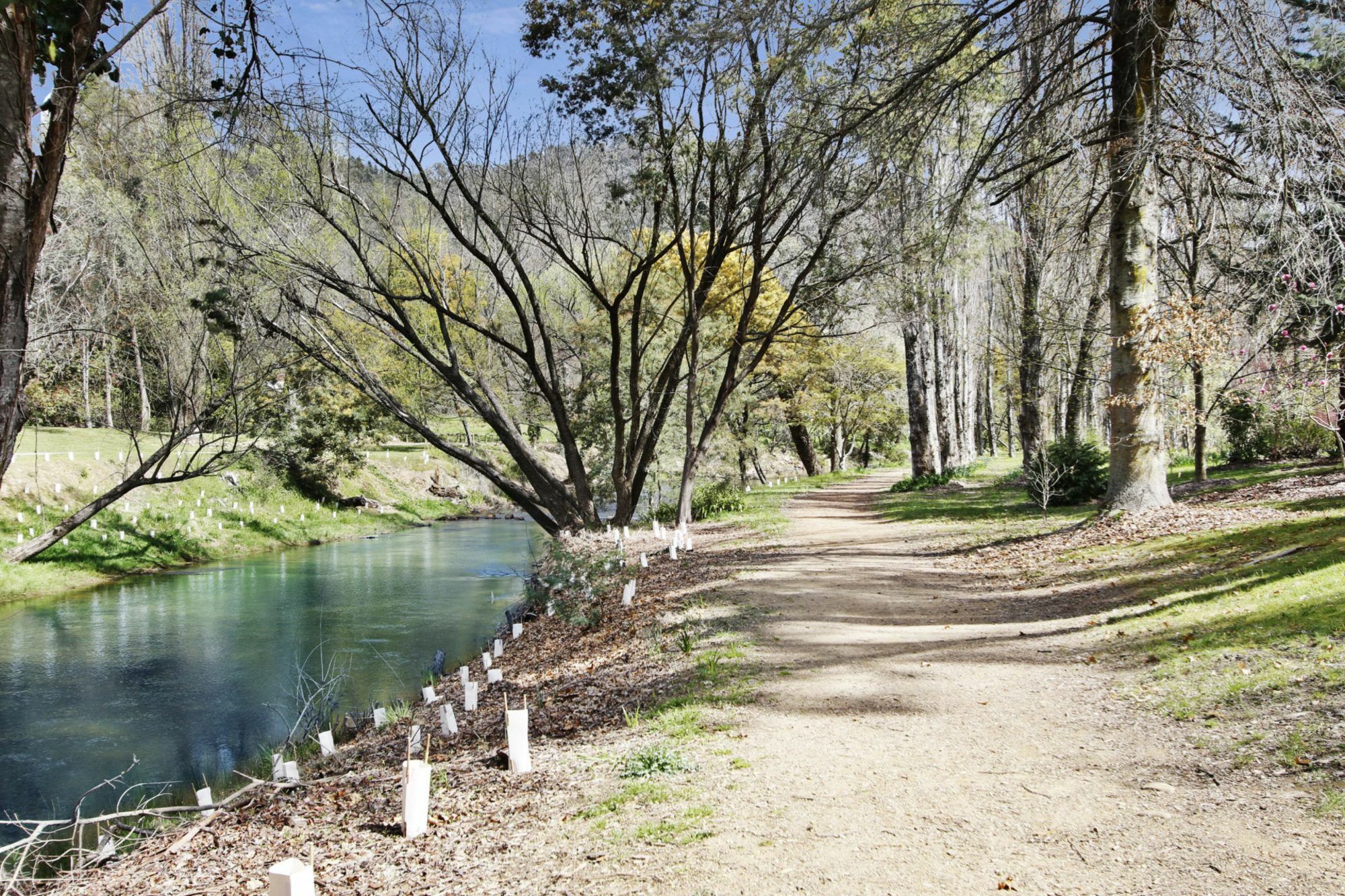 Snowstream Riverside - Unit 1 * Bright