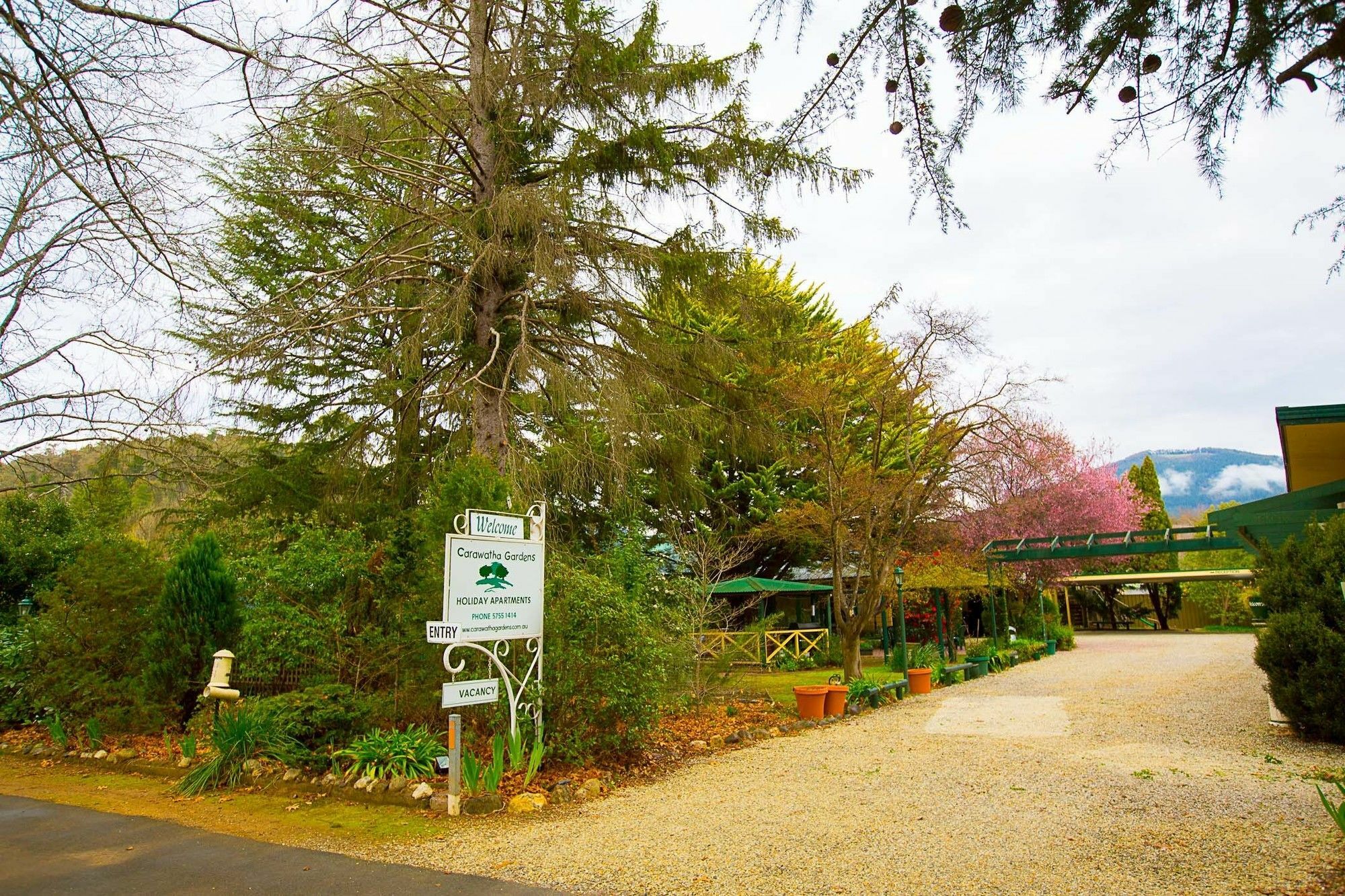 Carawatha Gardens Bright