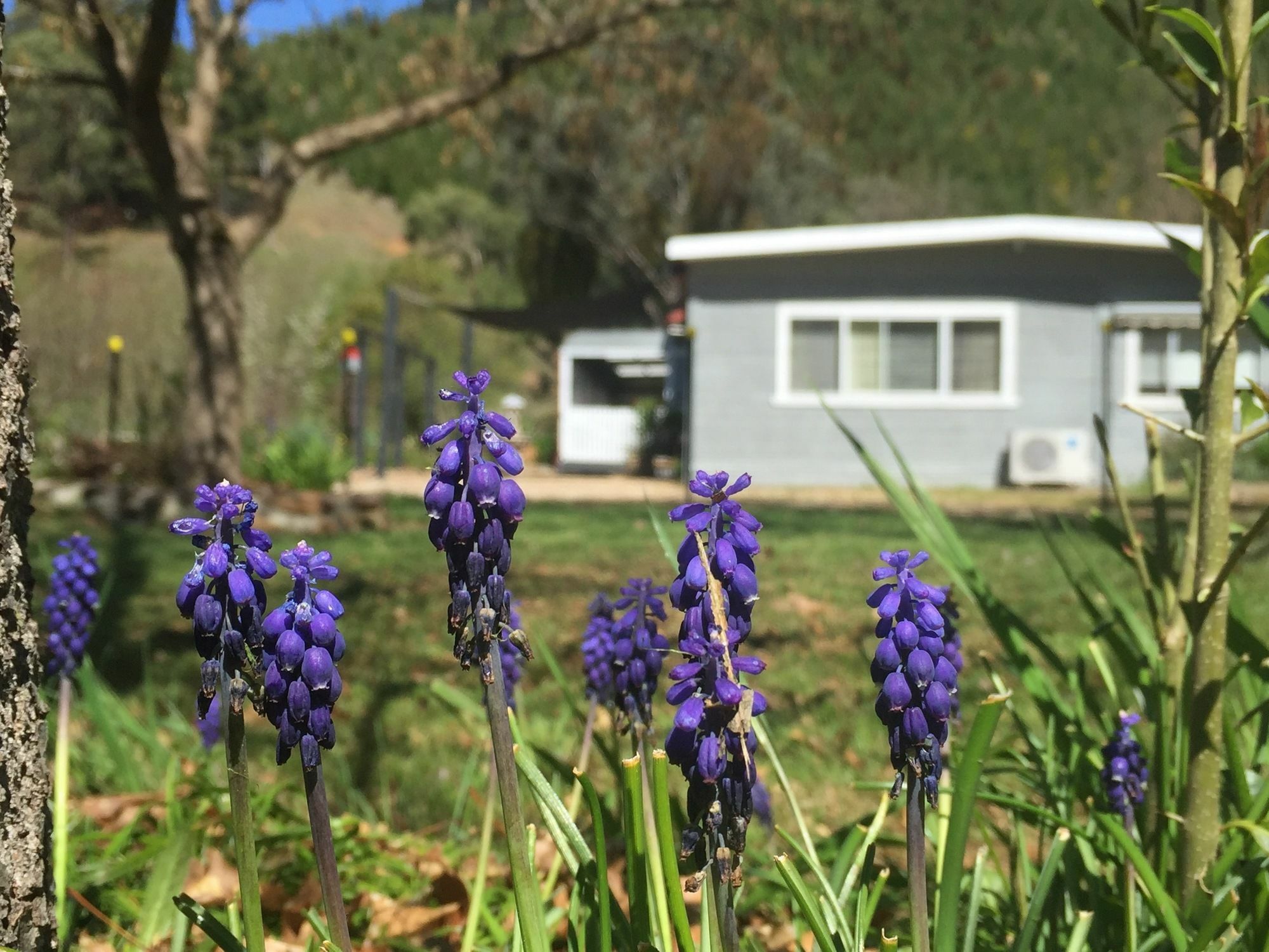 Hotel Plantation Hill Homestead 3*