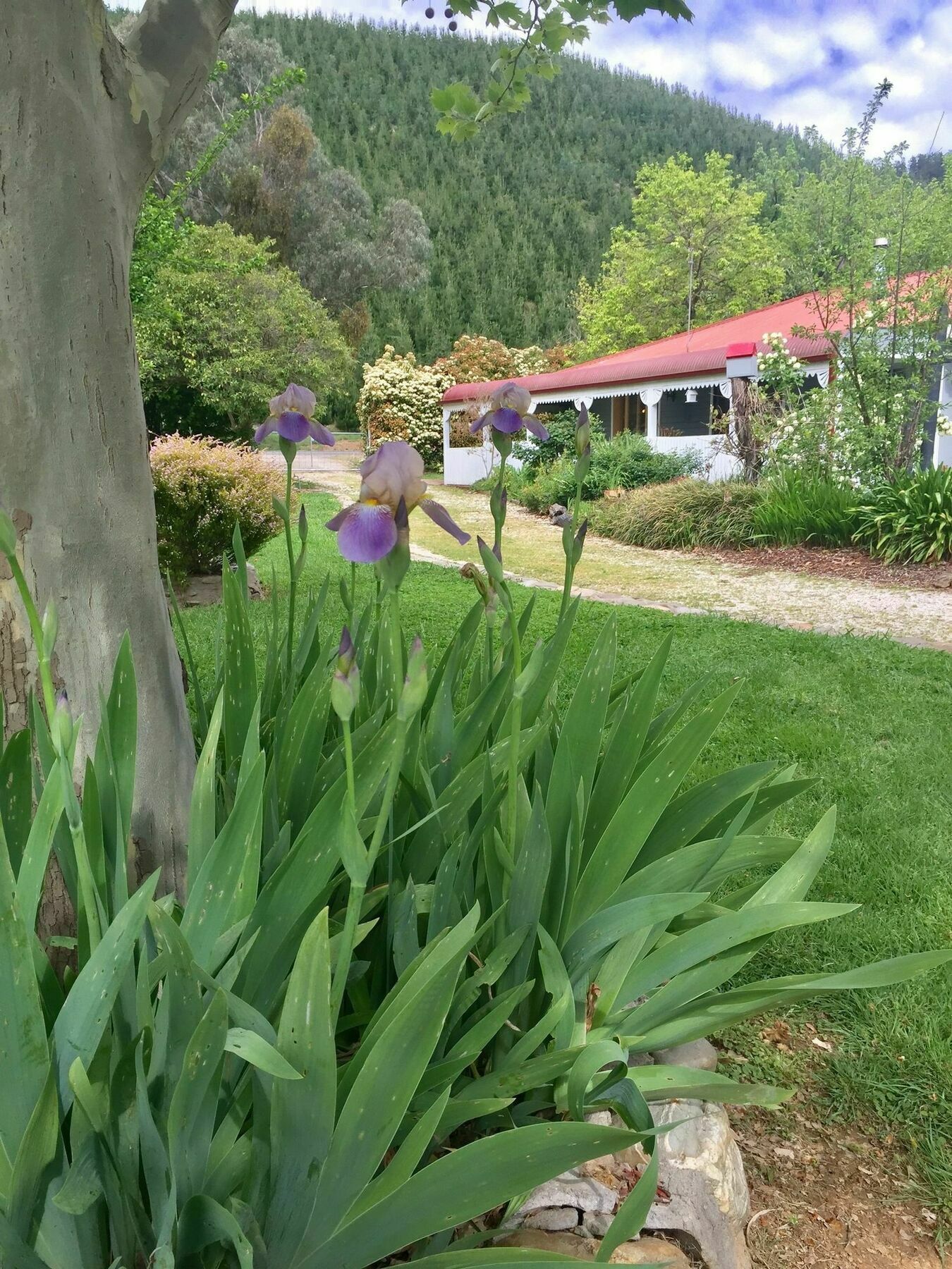 Hotel Plantation Hill Homestead 3*