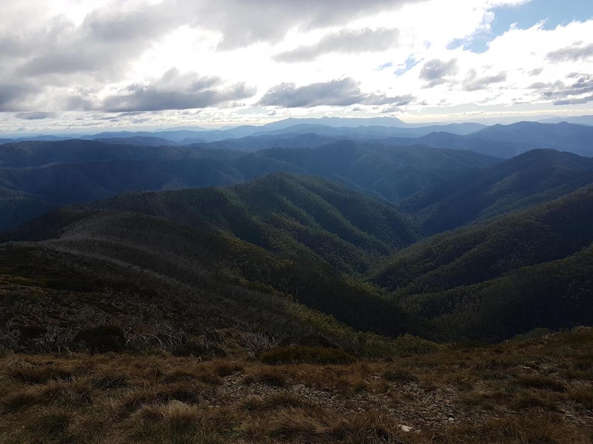 Bright's Wombat's Retreat Holiday home