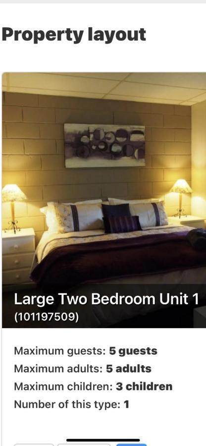 Forest Apartment Bright