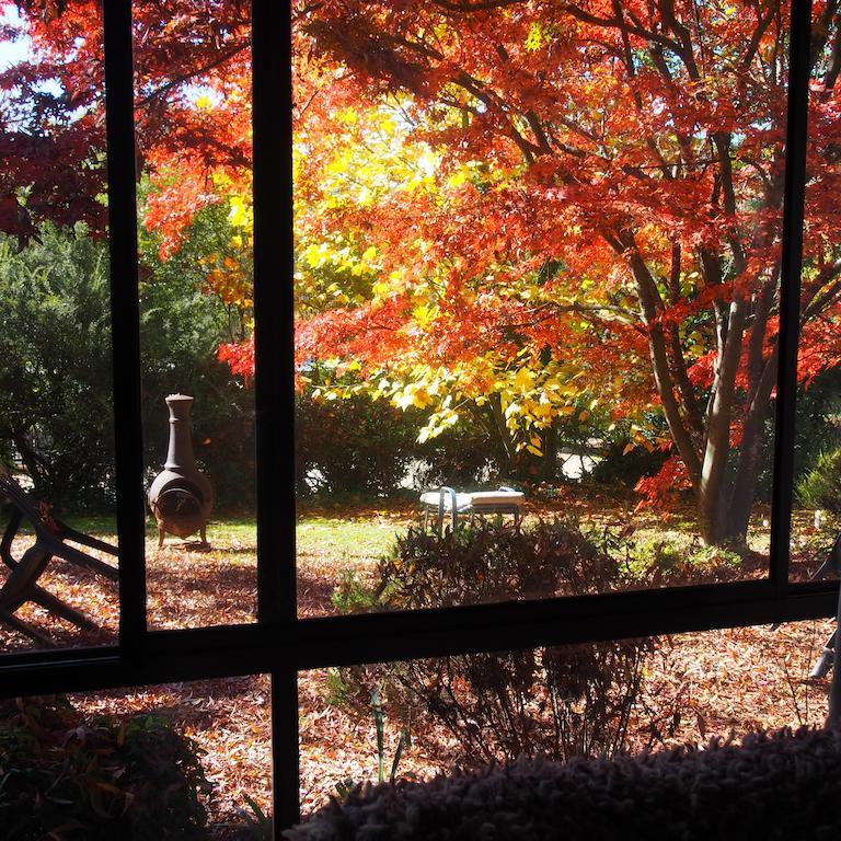 Forest Bright