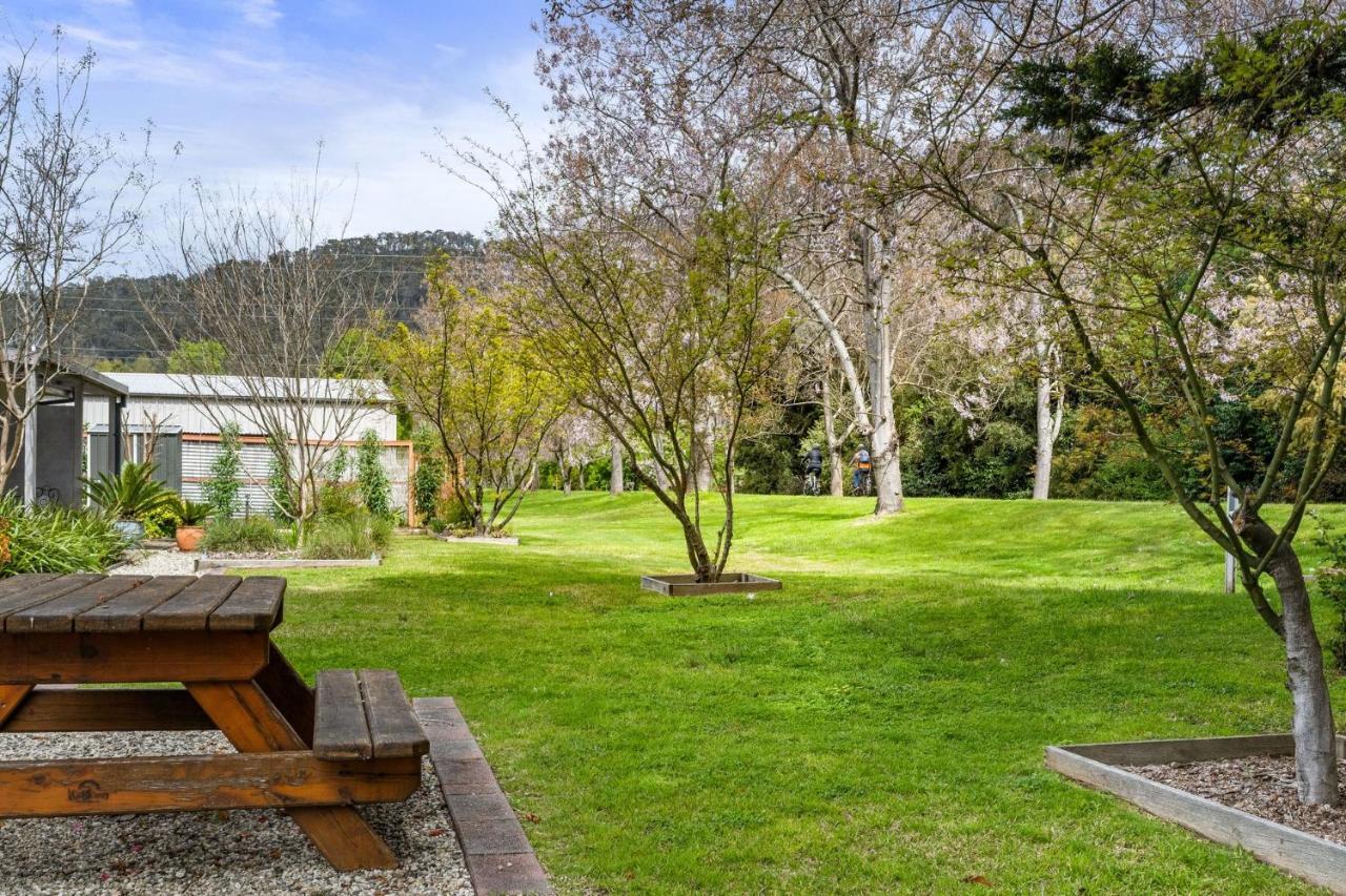 Grevillea Gardens Unit 4 Apartment Bright